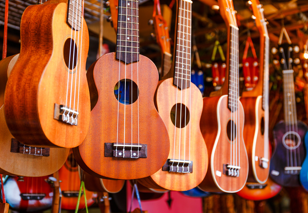 10 Best Ukulele Brands to Fit Your Budget - Guitar Noise